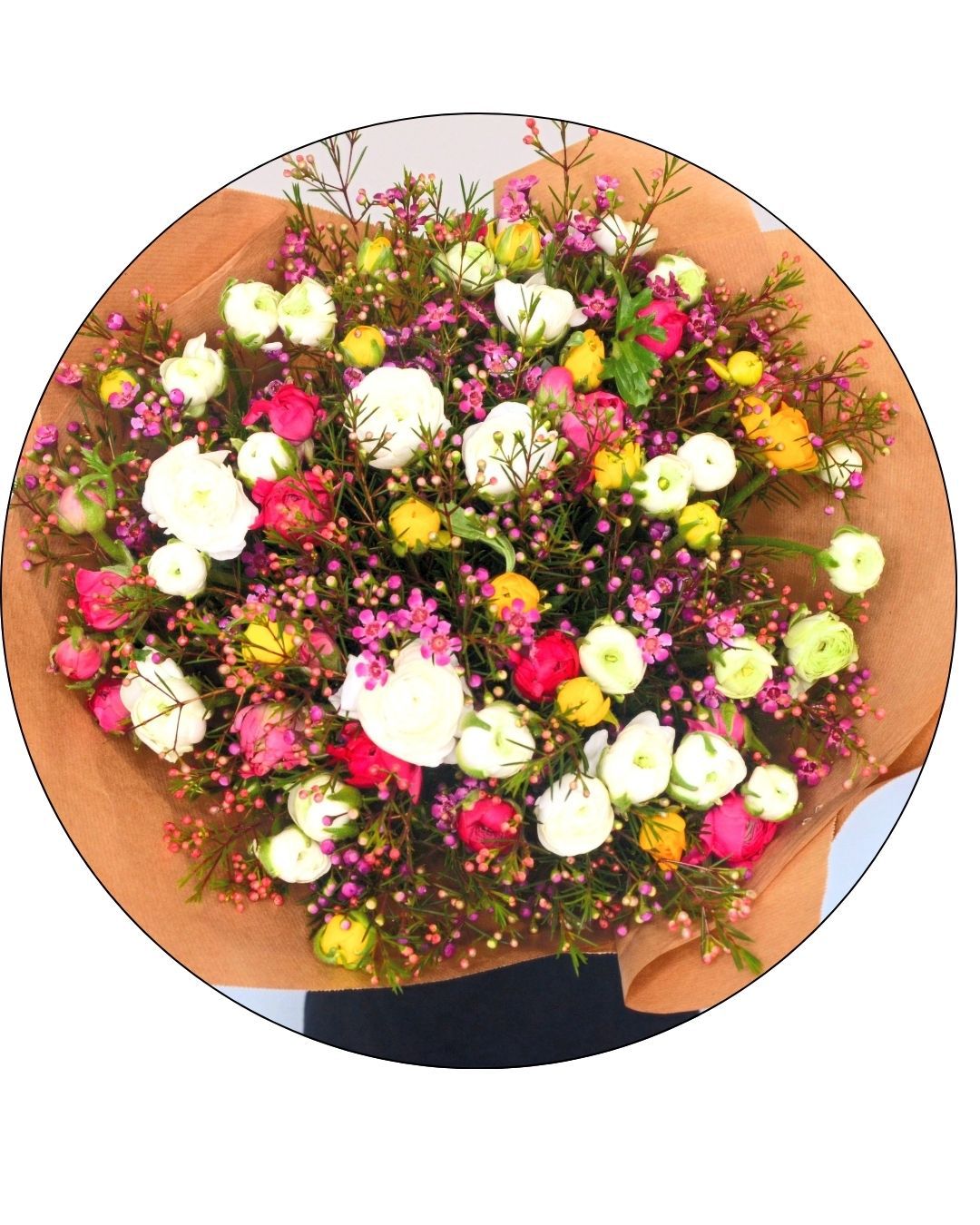 חגיגת נוריות חורפית חגיגת נוריות חורפית